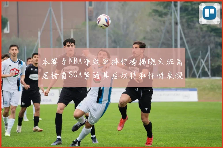 本赛季NBA净效率排行榜揭晓文班高居榜首SGA紧随其后切特和怀特表现出色